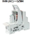 PIR4 (GZM4)